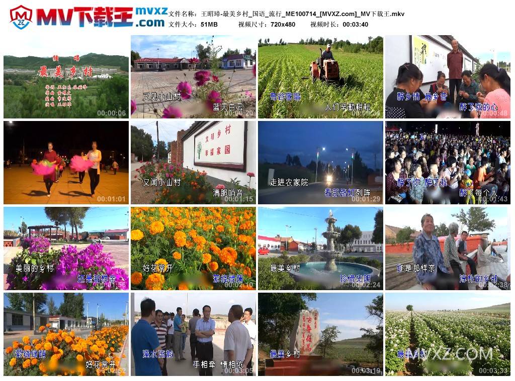 王昭璋-最美乡村_国语_流行_ME100714